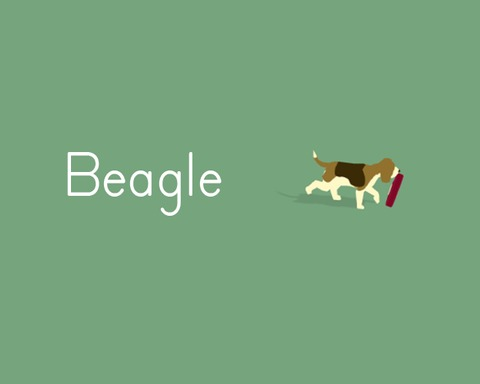 Beagle