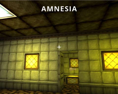 Amnesia