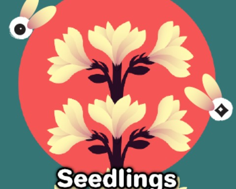 Seedling