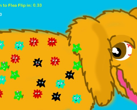 Match the Fleas