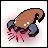 Evolve The Cardgame