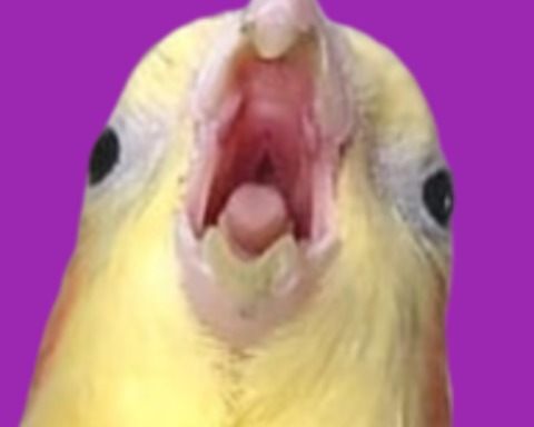 Birb Empire