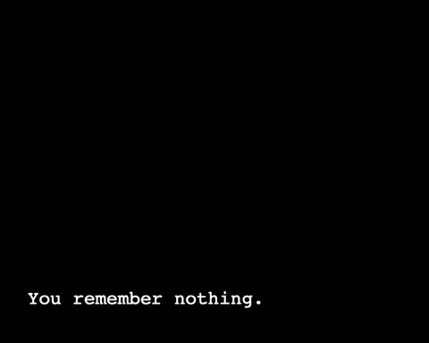 You remember nothing.