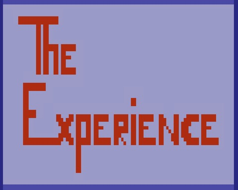 The Experience