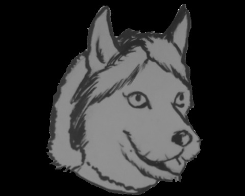 Save the Huskies!