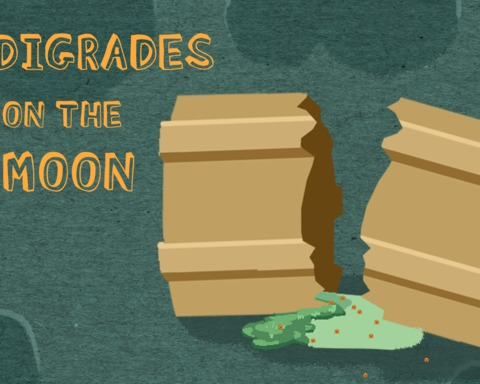 Tardigrades on the Moon