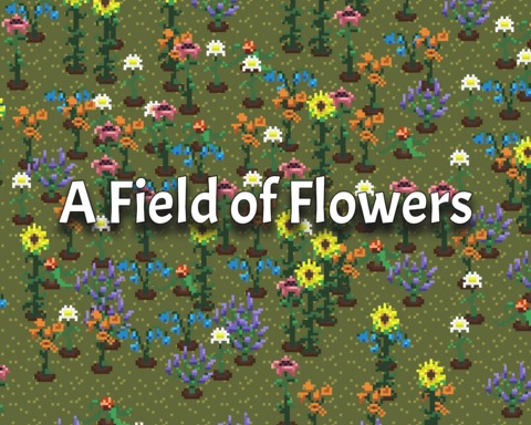 A Field of Flowers