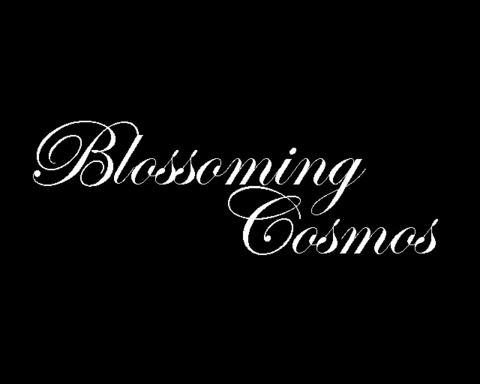 Blossoming Cosmos
