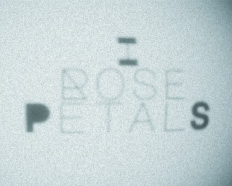 I Rose Petals