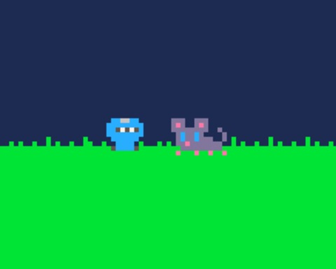Ninja and Mouse