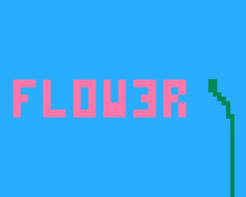 FL0W3R