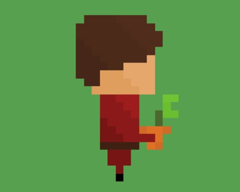 Fly Trap Dash