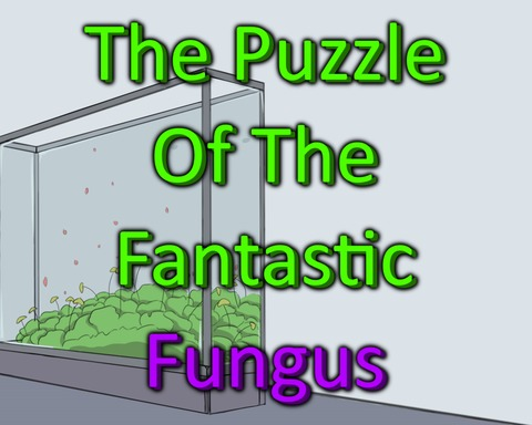 The Puzzle Of The Fantastic Fungus