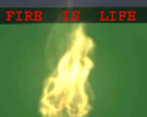 Fire Is Life