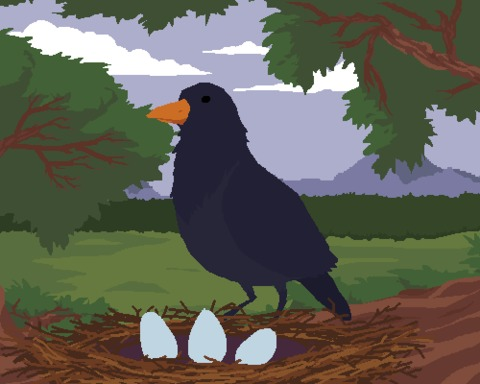 Blackbird