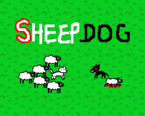 Sheepdog