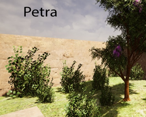 Petra