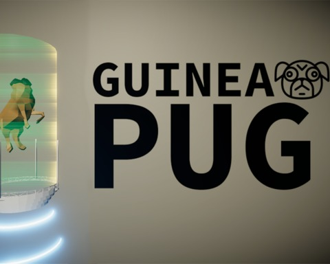 LD 46 - Guinea Pug