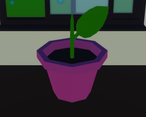Mr Ficus