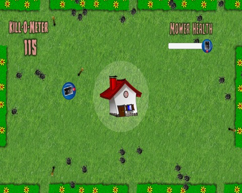 Insect Infestation