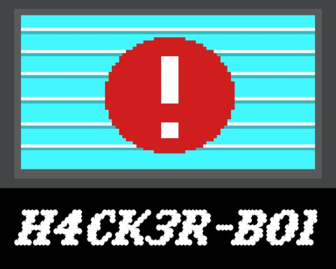 Hacker Boy