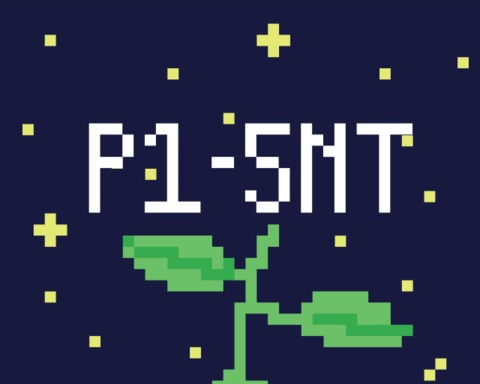 P1 - 5NT
