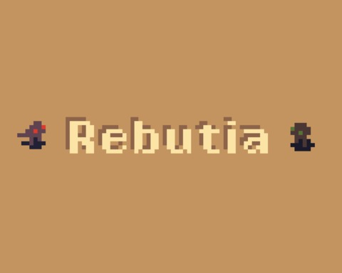 Rebutia