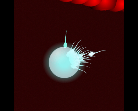 Sim Sperm