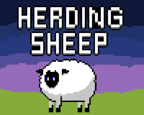 Herding sheep