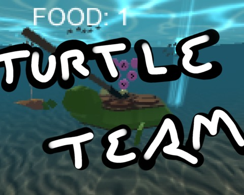 Turtle Team