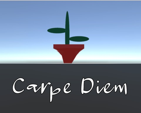 Carpe Diem
