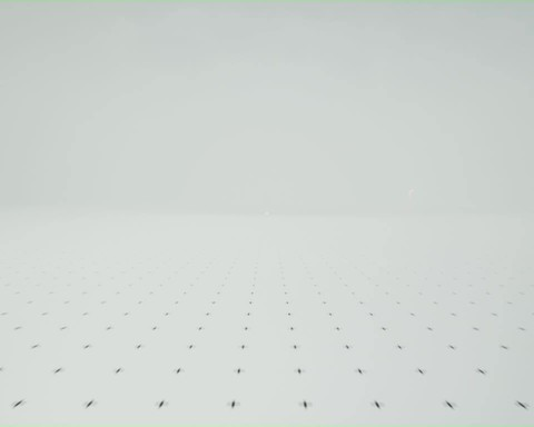 SIMULATION
