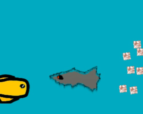Here, Fishy Fishy!