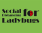 Social Distancing For LadyBugs