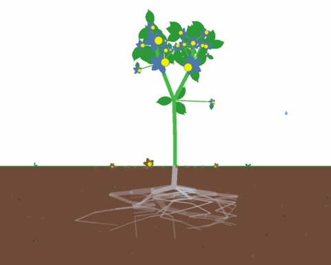 Plantasia
