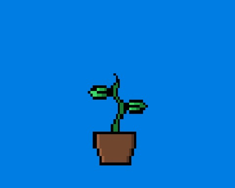 Keep a Plant