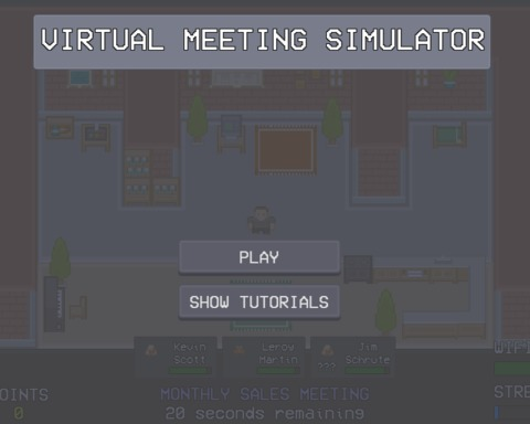 Virtual Meeting Simulator