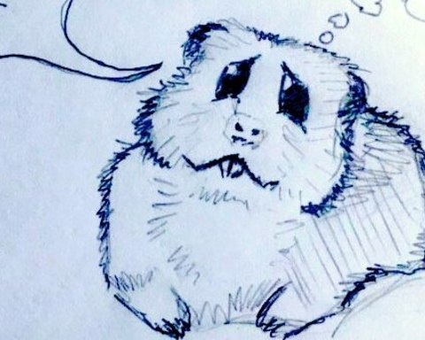 Save the Hamster