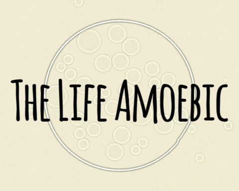 The Life Amoebic