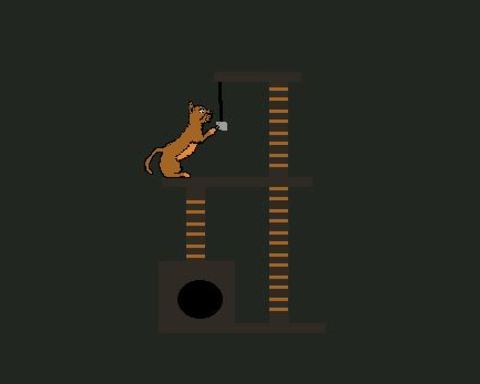 The Cat's Journey