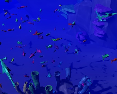 The Reef