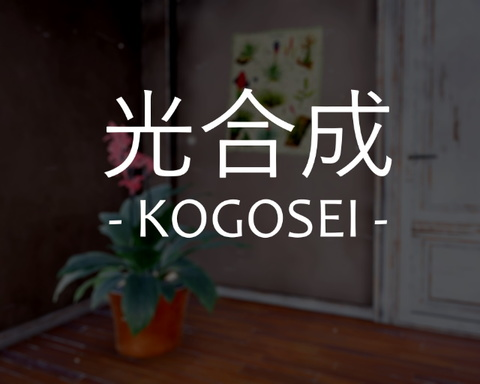 KOGOSEI
