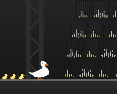 Duck Tails