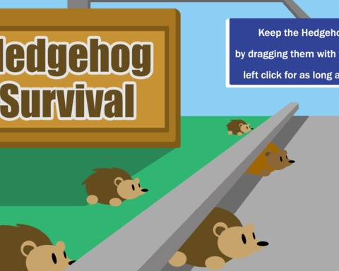 Hedgehog Survival