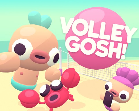 Volley Gosh