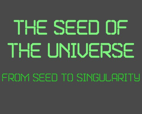 The Seed of the Universe