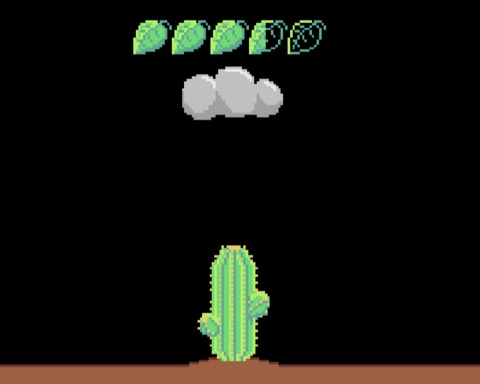 Your Plant