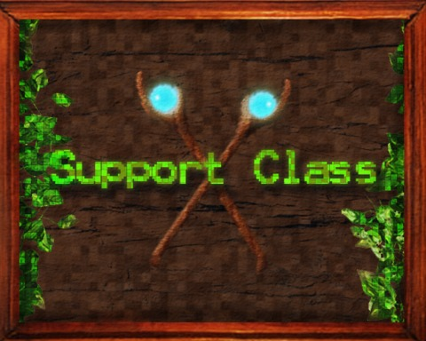 Support Class