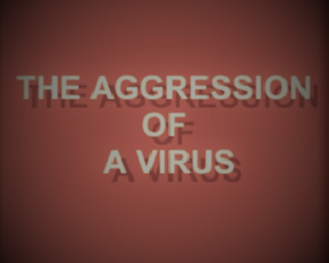 The Aggression Of a Virus