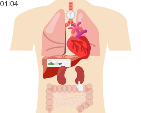 Organ Simulator